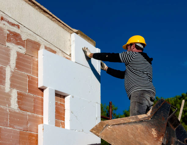 Best Insulation Maintenance and Repair in Carrizo Springs, TX