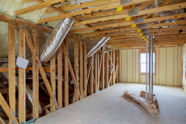 Best Geographic-Specific Insulation Services in Carrizo Springs, TX