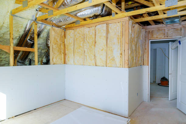 Types of Insulation We Offer in Carrizo Springs, TX