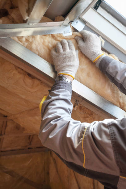 Best Insulation for Specific Applications in Carrizo Springs, TX
